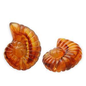 Acryl Kralen Schelp Amber bruin 41mm - per stuk-Kralen-Kraaltjes van Renate
