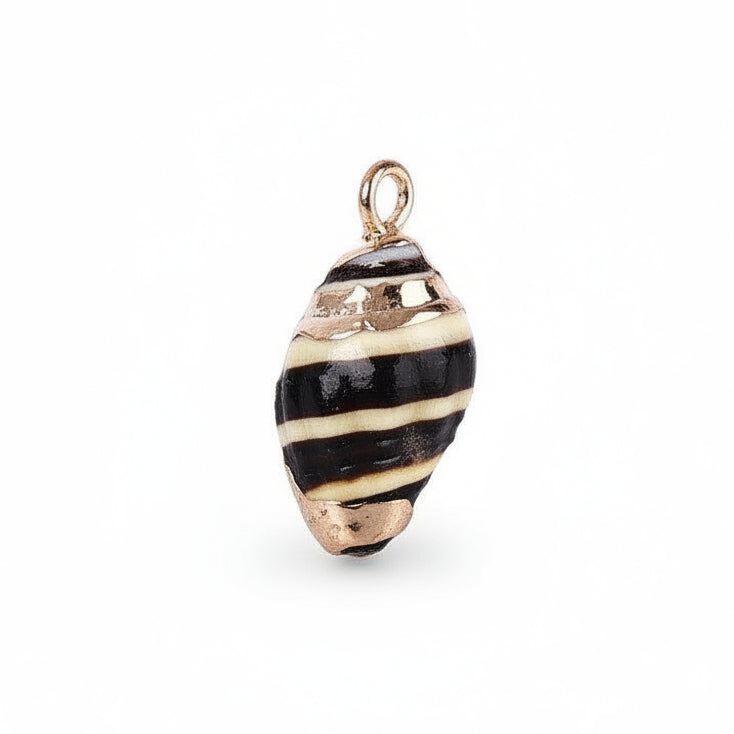 Bedel Kauri Schelp Goud 18mm - per stuk