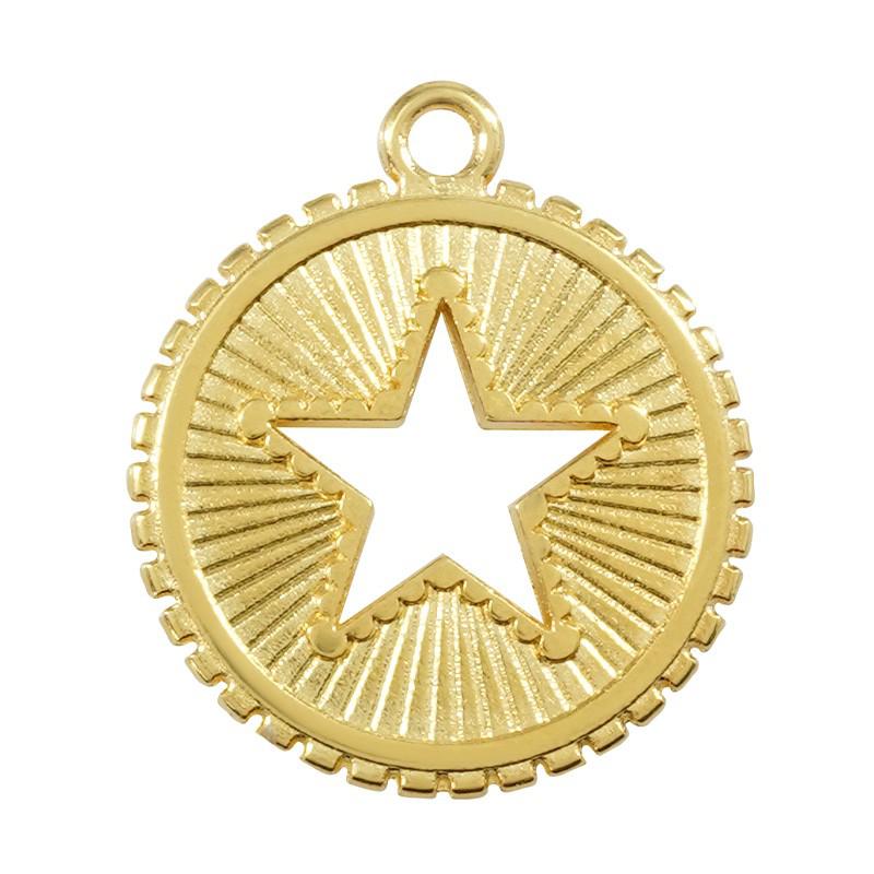 Bedel Munt met ster Goud 24kr DQ 25mm-bedels-Kraaltjes van Renate