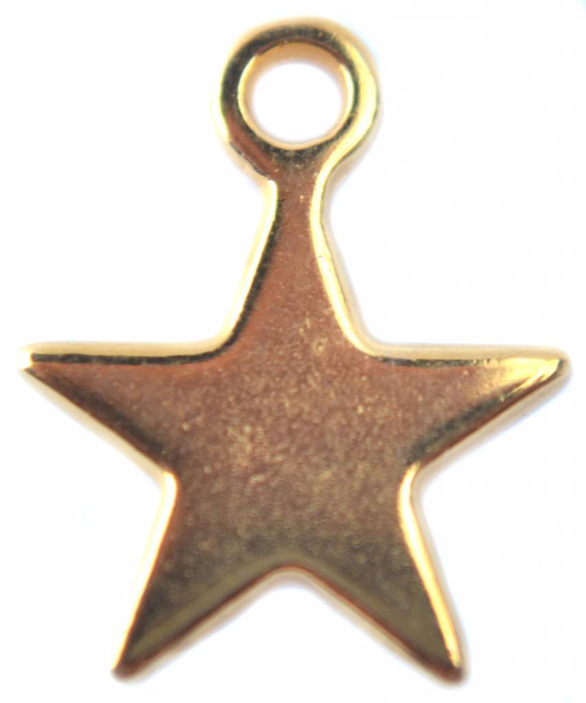 Bedel Ster 12mm Goud DQ-Kraaltjes van Renate