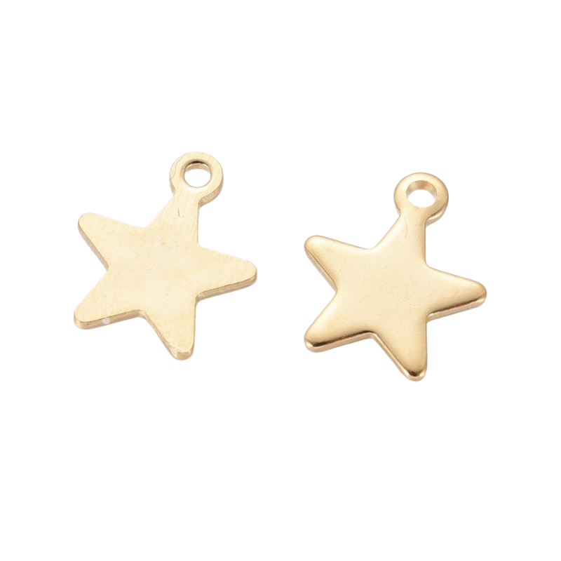 Bedel Ster RVS 18K Goud Plated 10mm – per stuk-bedels-Kraaltjes van Renate