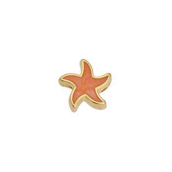 Bedel kraal zeester RVS 24K oranje goud 10mm- per stuk-Kralen-Kraaltjes van Renate