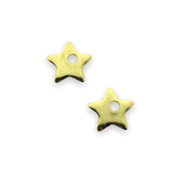 Bedel mini sterretje RVS goud 5,5x6mm-bedels-Kraaltjes van Renate