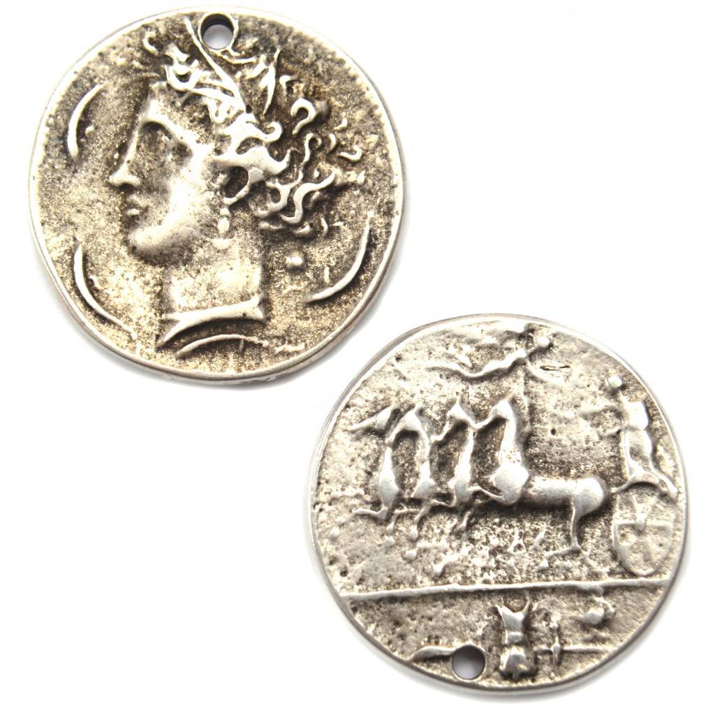 Bedel munt metaal zilver DQ 31mm-Kraaltjes van Renate