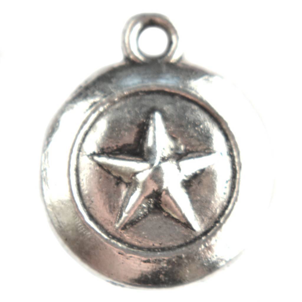 Bedel munt ster Zilver 19mm - 3st-Kraaltjes van Renate