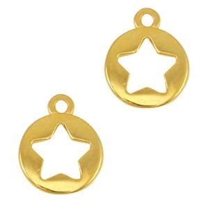 Bedel muntje met ster Goud DQ 12x10mm-Kraaltjes van Renate