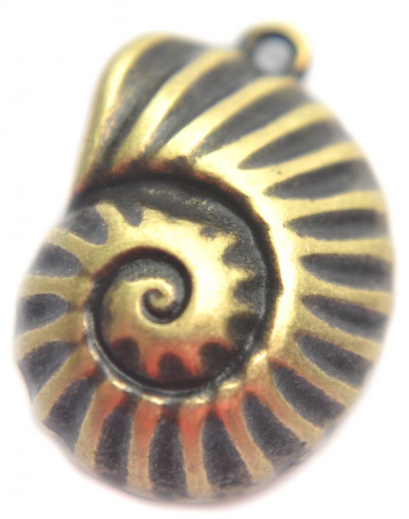 Bedel nautilus schelp Brons DQ 20mm-Kraaltjes van Renate