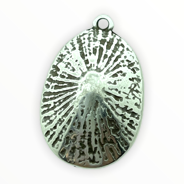 Bedel schelp limpet Zilver DQ 16x24mm-Kraaltjes van Renate