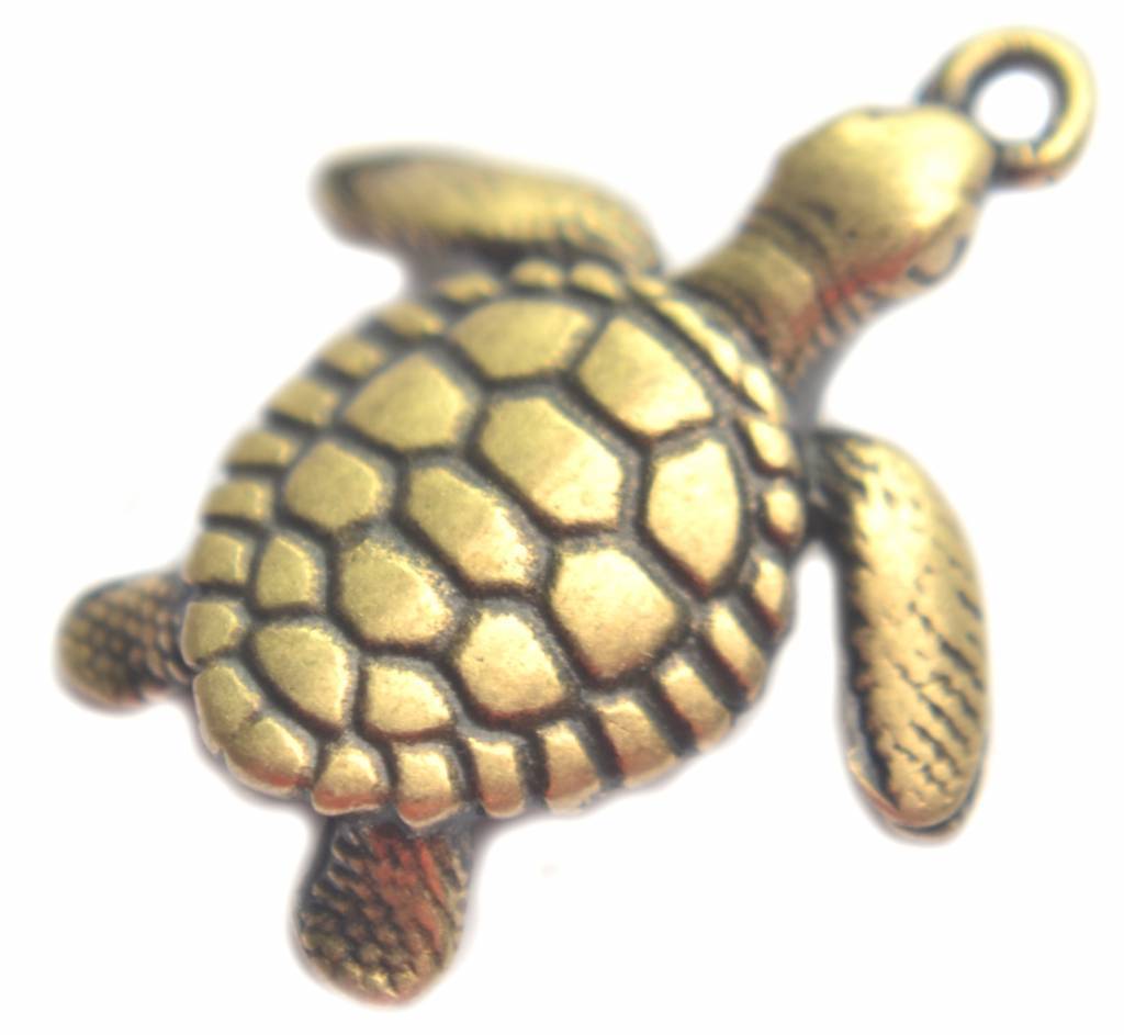 Bedel schildpad Brons DQ 20mm-Kraaltjes van Renate