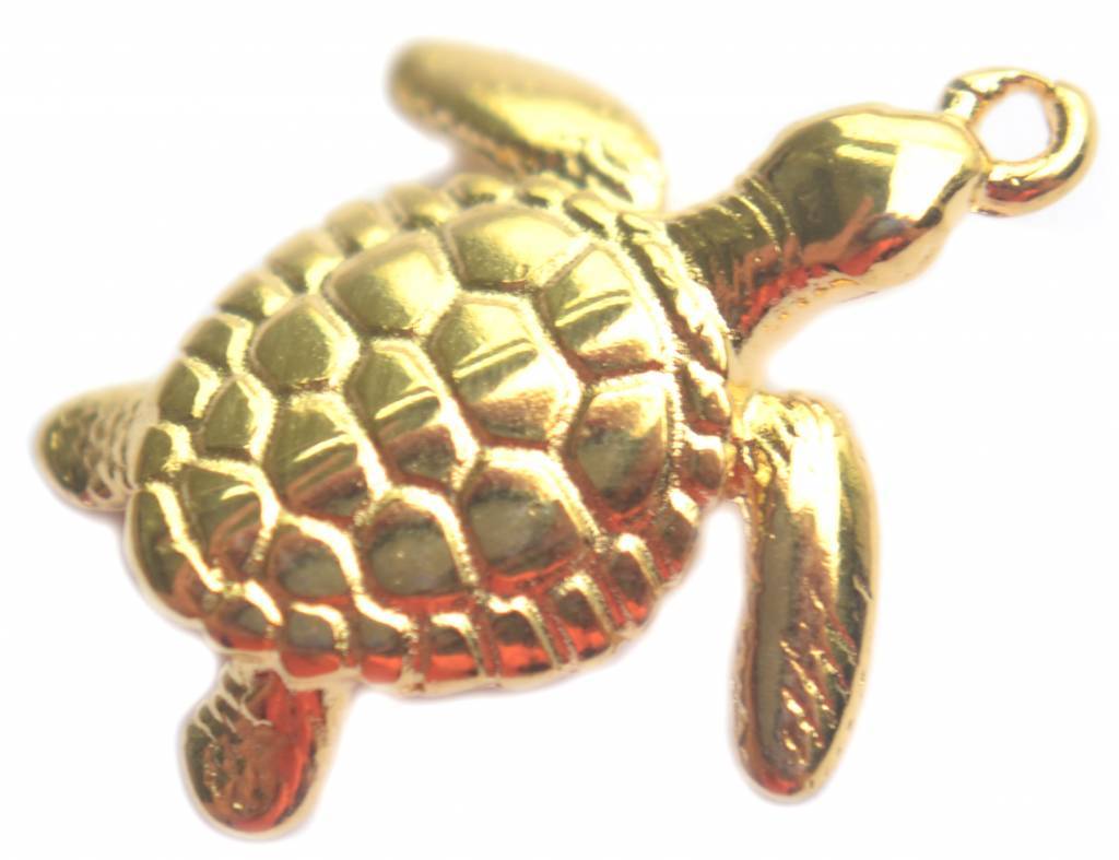 Bedel schildpad Goud DQ 20mm-Kraaltjes van Renate