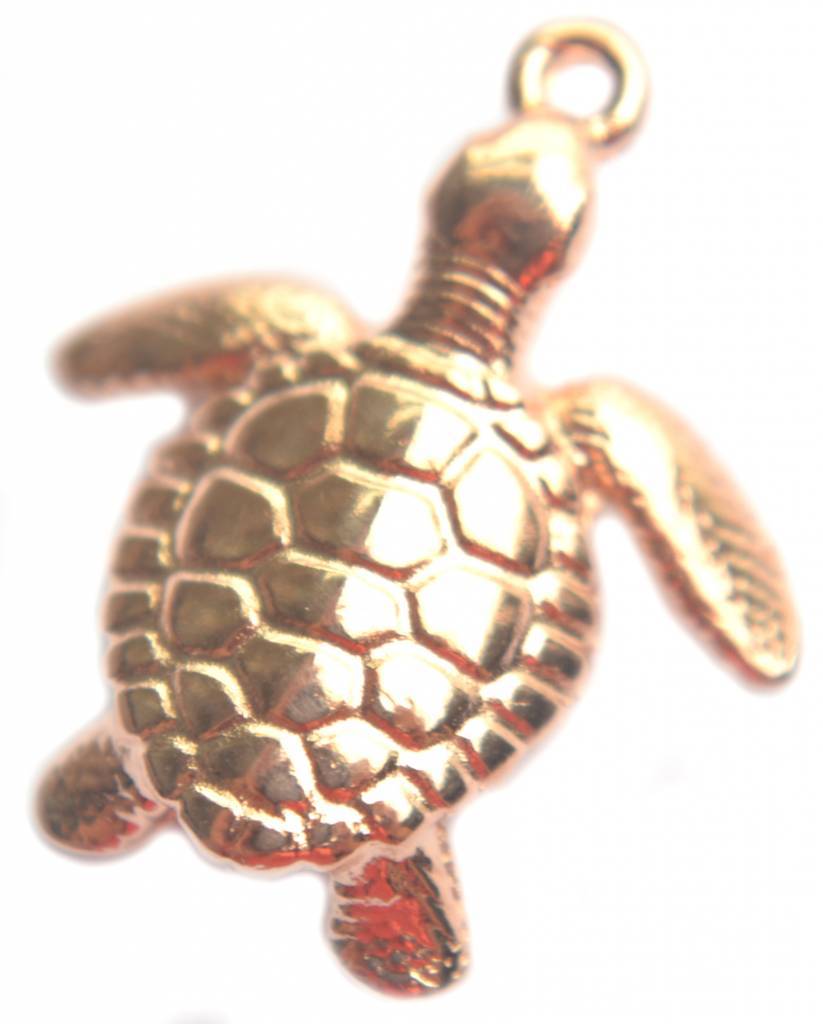 Bedel schildpad Rosegoud DQ 20mm-Kraaltjes van Renate