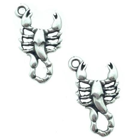 Bedel schorpioen Zilver DQ 11x20mm-Kraaltjes van Renate