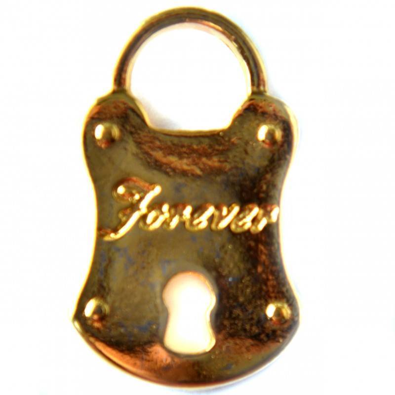 Bedel slot ¨FOREVER¨metaal goud DQ 18x30mm-Kraaltjes van Renate