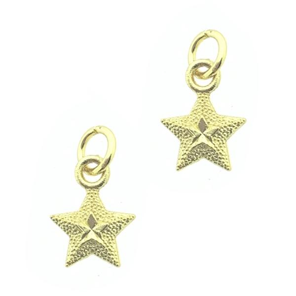 Bedel star Gold plated 11.5x8.5mm-Kraaltjes van Renate
