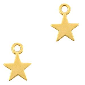 Bedel ster Goud DQ 13x10mm-Kraaltjes van Renate