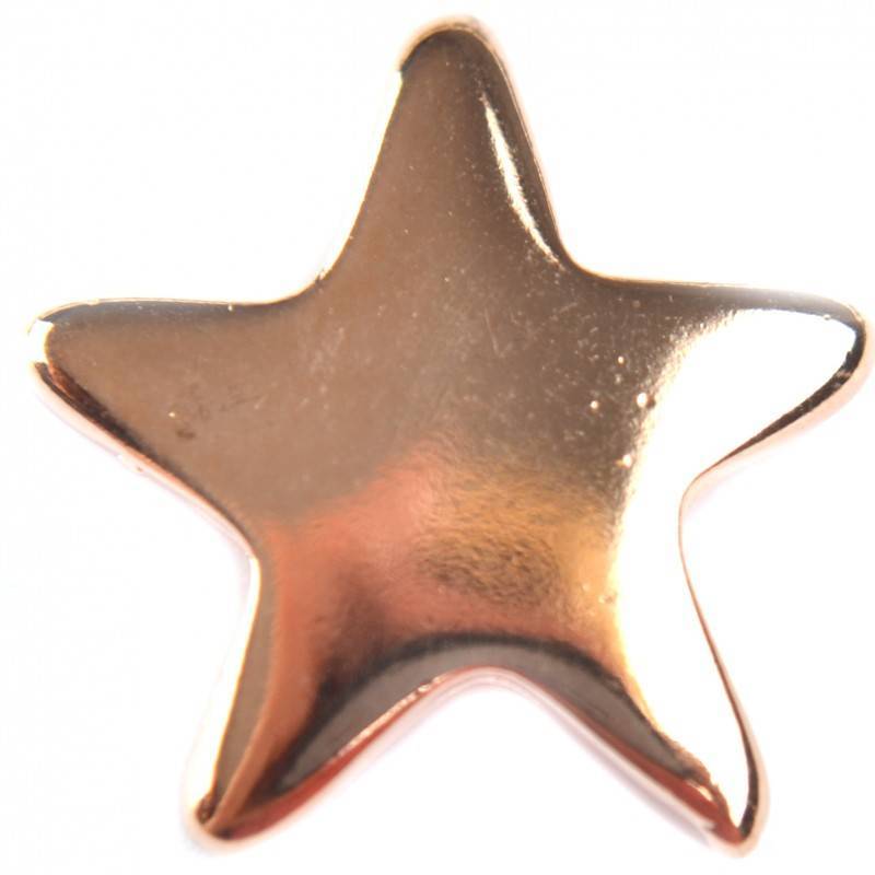 Bedel ster metaal roségoud DQ 22x23mm-Kraaltjes van Renate