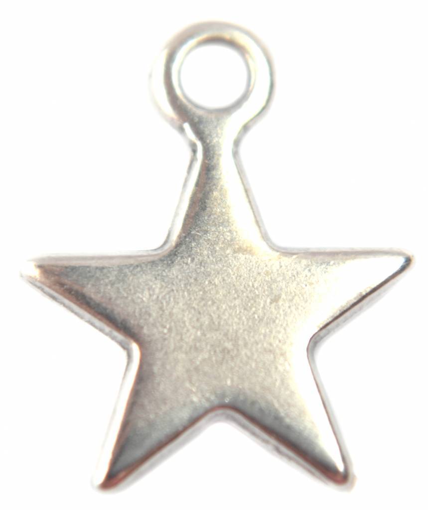 Bedel ster zilver DQ 12mm-Kraaltjes van Renate