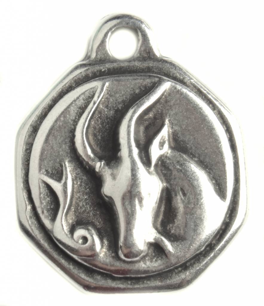 Bedel sterrenbeeld Steenbok Zilver DQ 23mm-Kraaltjes van Renate