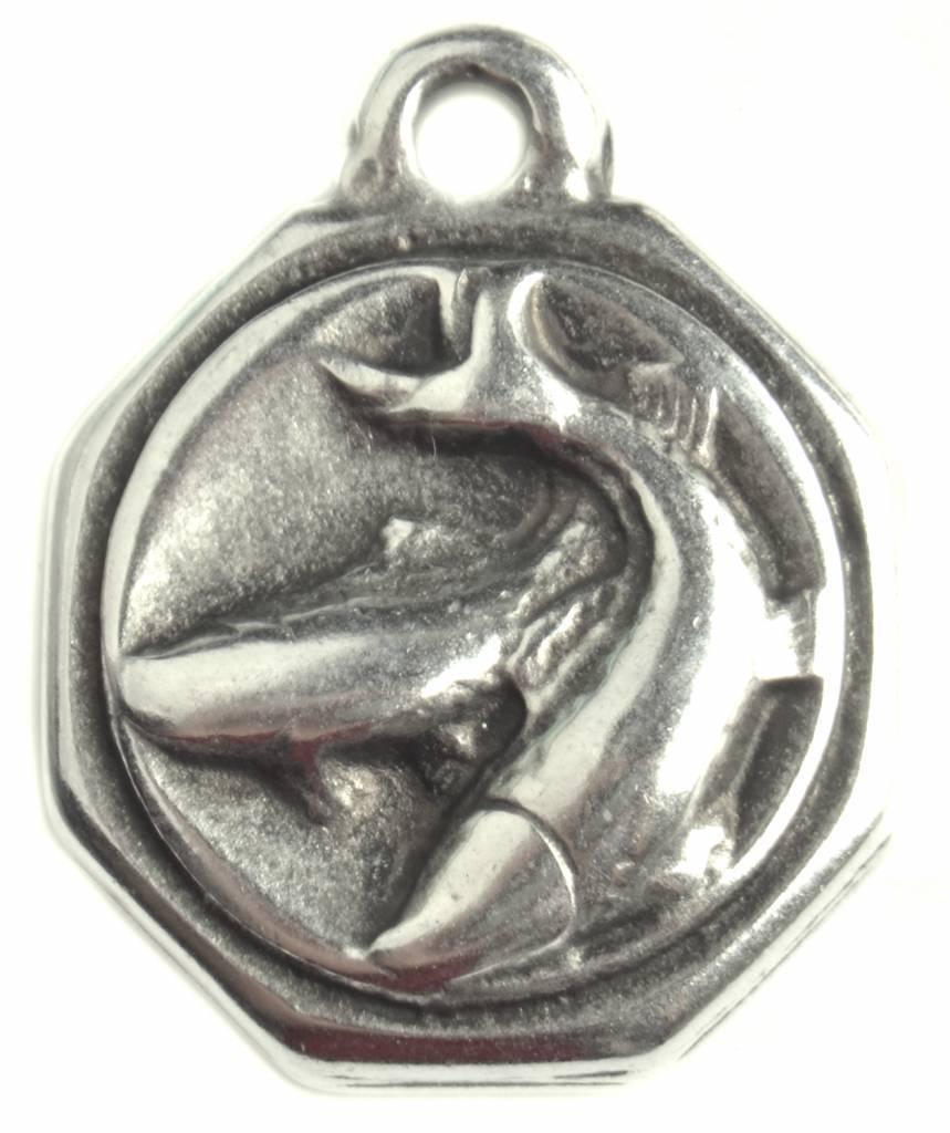 Bedel sterrenbeeld Vissen Zilver DQ 23mm-Kraaltjes van Renate