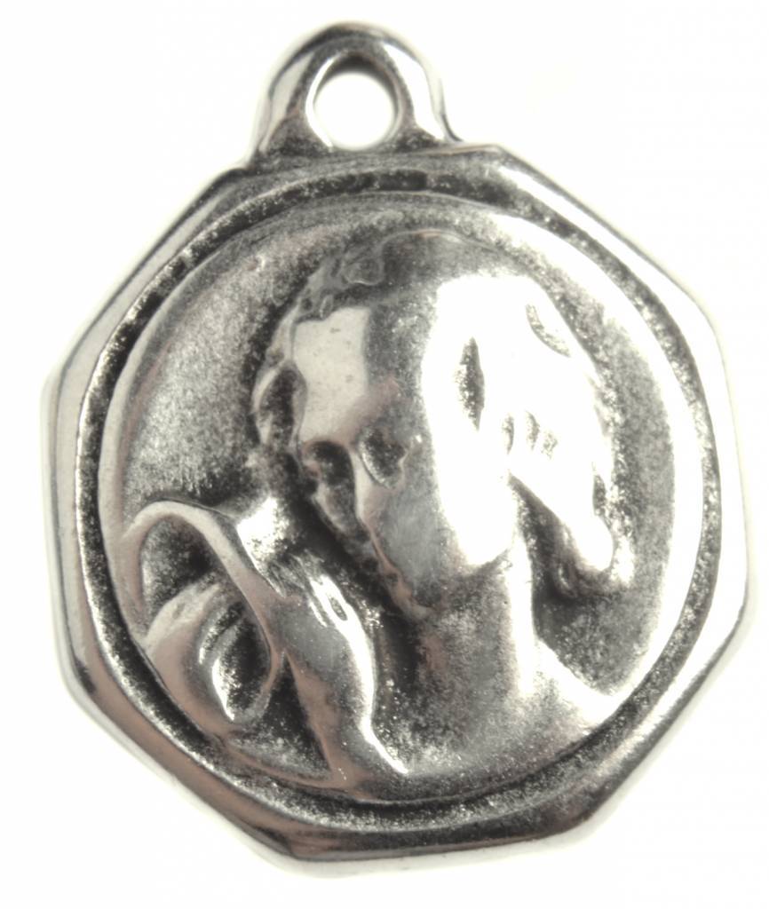 Bedel sterrenbeeld Waterman Zilver DQ 23mm-Kraaltjes van Renate