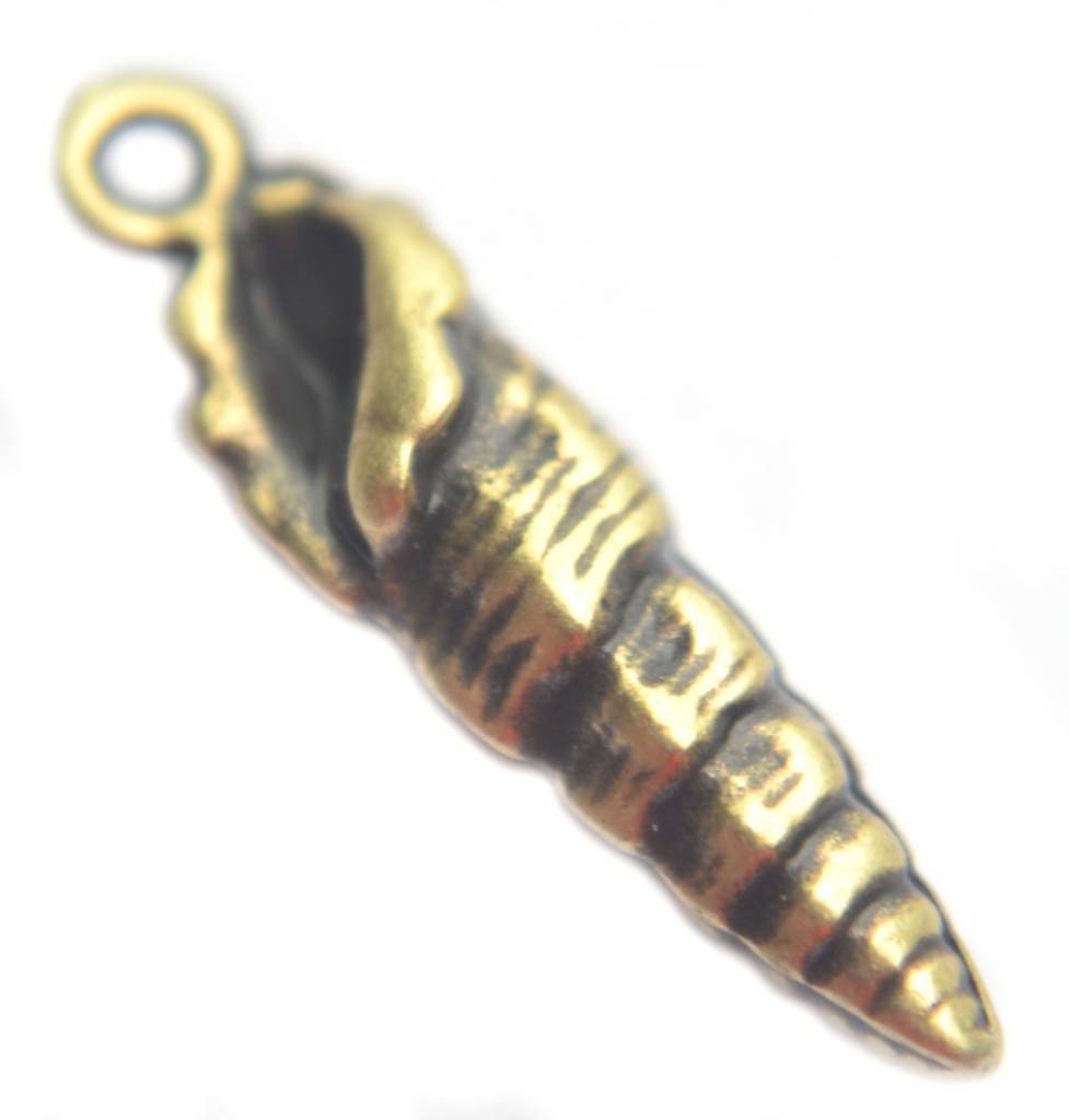 Bedel triton schelp Brons DQ 20mm-Kraaltjes van Renate