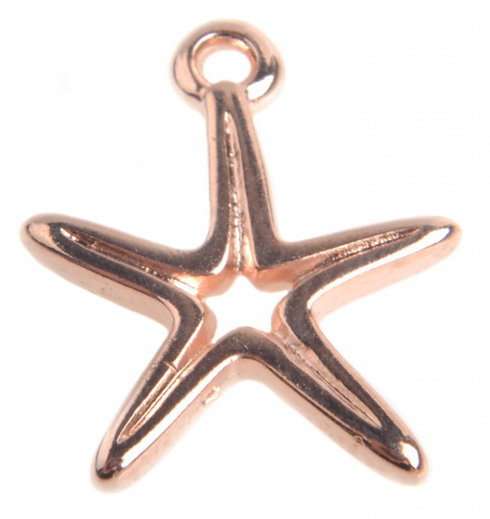 Bedel zeester Rosegoud DQ 16x14mm-Kraaltjes van Renate
