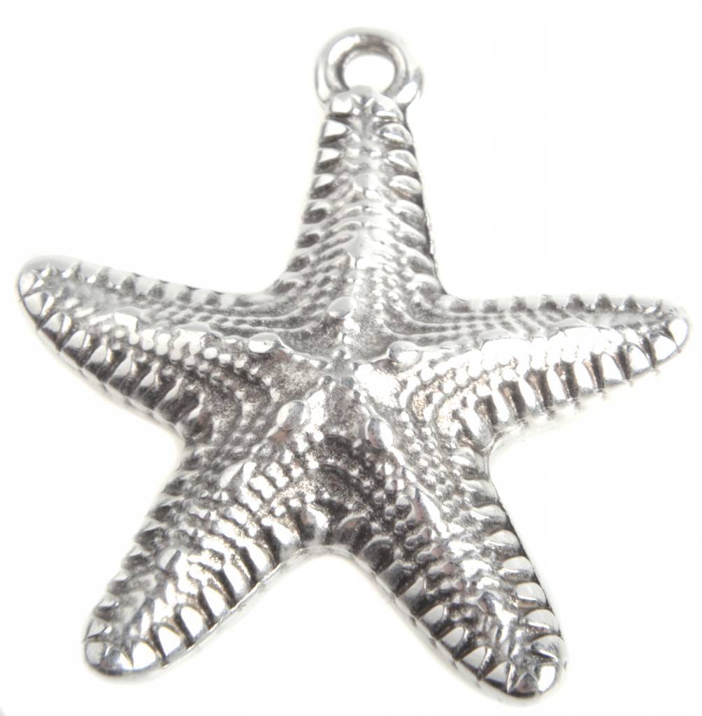 Bedel zeester Zilver DQ 35mm-Kraaltjes van Renate