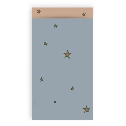Cadeauzakjes Stars Duo Ice Blue 7x13cm - 5 stuks-Gifts-Kraaltjes van Renate