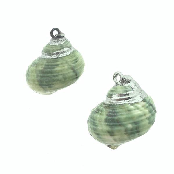 Hoornschelp bedel Groen-Zilver ±40x25mm-Kraaltjes van Renate