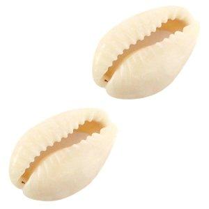 Kauri klein open schelp Off white ±15x10mm - 10 stuks-Kraaltjes van Renate