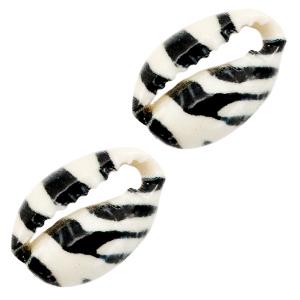 Kauri open schelp Black-white tiger ±17x12mm-Kraaltjes van Renate
