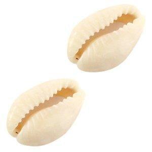 Kauri open schelp Off white ±17/18x12mm - 10 stuks-Kraaltjes van Renate