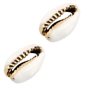 Kauri open schelp White-Gold ±17x12mm-Kraaltjes van Renate