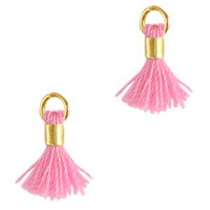Kwast 0.7cm Gold-springtime pink-bedels-Kraaltjes van Renate