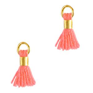 Kwast Gold-neon pink 0.7cm-bedels-Kraaltjes van Renate