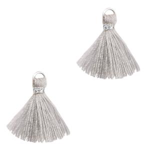 Kwast Silver-Light grey 15mm-Kraaltjes van Renate