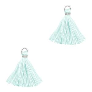Kwast Silver-bleached aqua 15mm-Kraaltjes van Renate