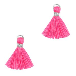 Kwast Silver-hot pink 15mm-Kraaltjes van Renate