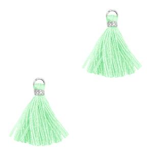 Kwast Silver-mint green 15mm-Kraaltjes van Renate