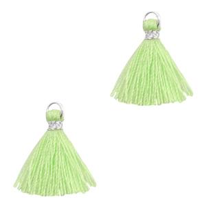 Kwast Silver-paradise green 15mm-Kraaltjes van Renate