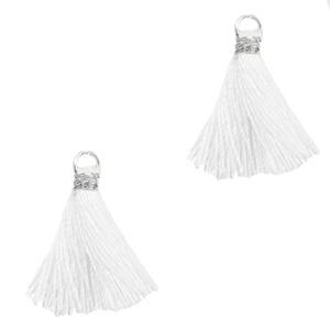 Kwast Silver-white 15mm-Kraaltjes van Renate