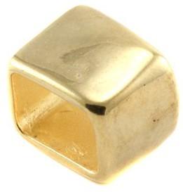 Leerschuiver Rechthoek Ø10x6mm Goud DQ 14mm-Kraaltjes van Renate