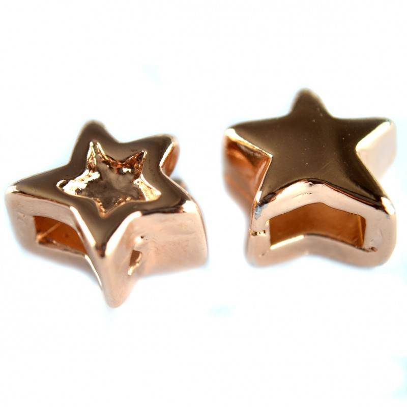 Leerschuiver ster Ø6x2.5mm Roségoud DQ 13mm-Kraaltjes van Renate