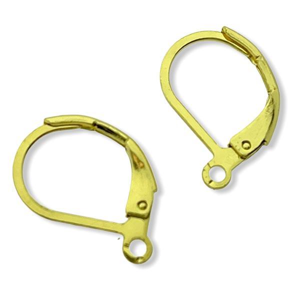 Oorhangers RVS goud 16x10mm - 1 paar-Kraaltjes van Renate