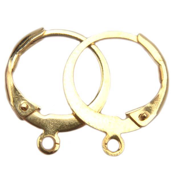 Oorring RVS goud 14,5x12mm - 1 paar-Kraaltjes van Renate