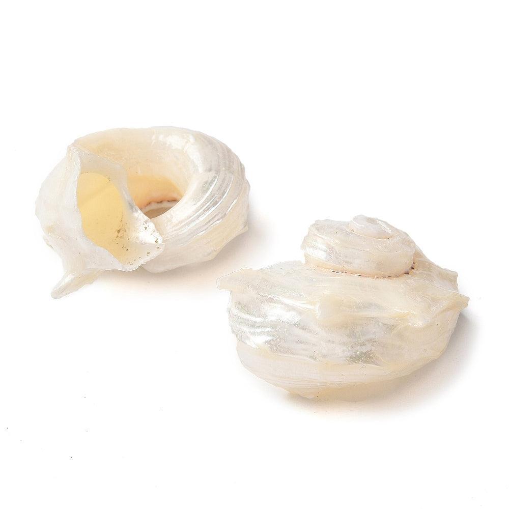 Schelp Bedel Schelpkleur 40mm - per stuk-Bedels-Kraaltjes van Renate
