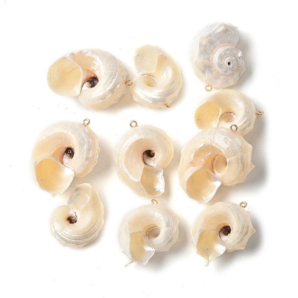 Schelp Bedel Schelpkleur 40mm - per stuk-Bedels-Kraaltjes van Renate
