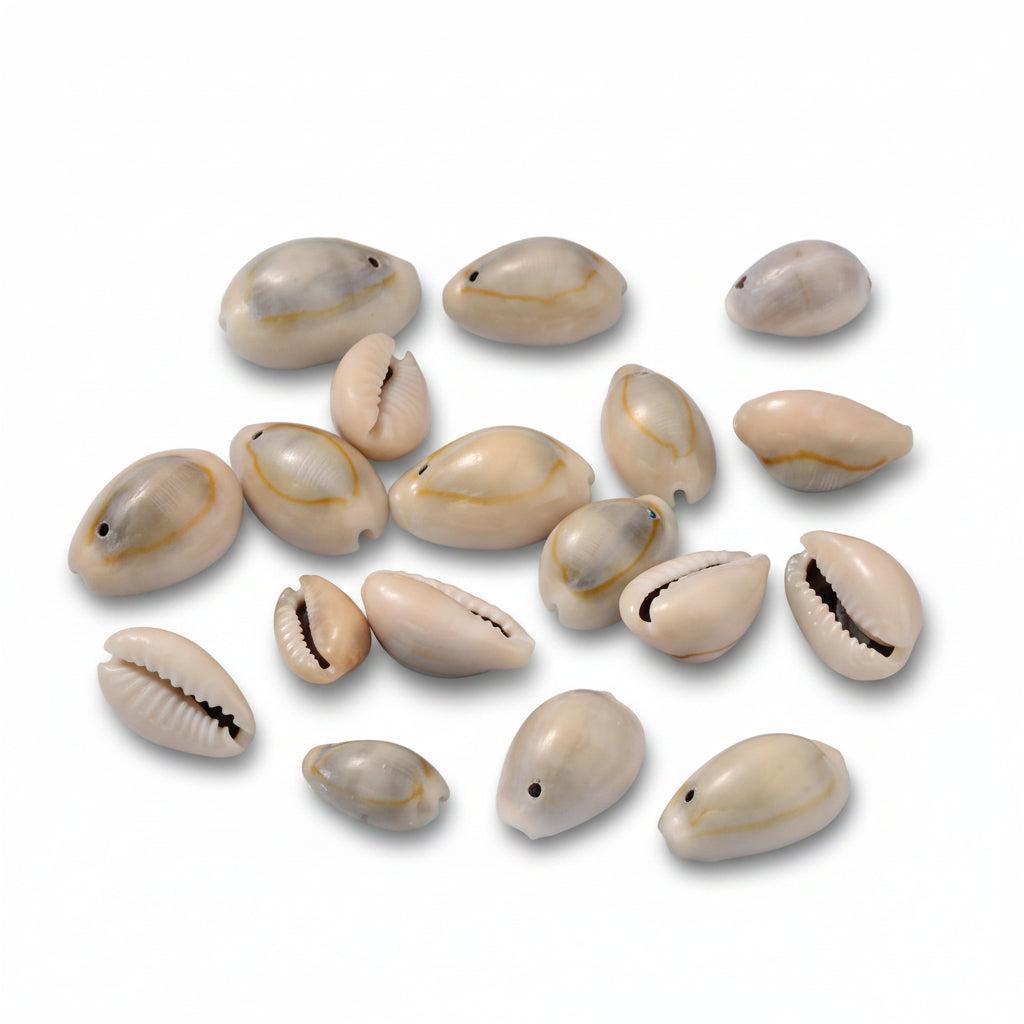 Schelp Kralen Kauri Beige Grijs 17mm - 10 stuks-Kralen-Kraaltjes van Renate
