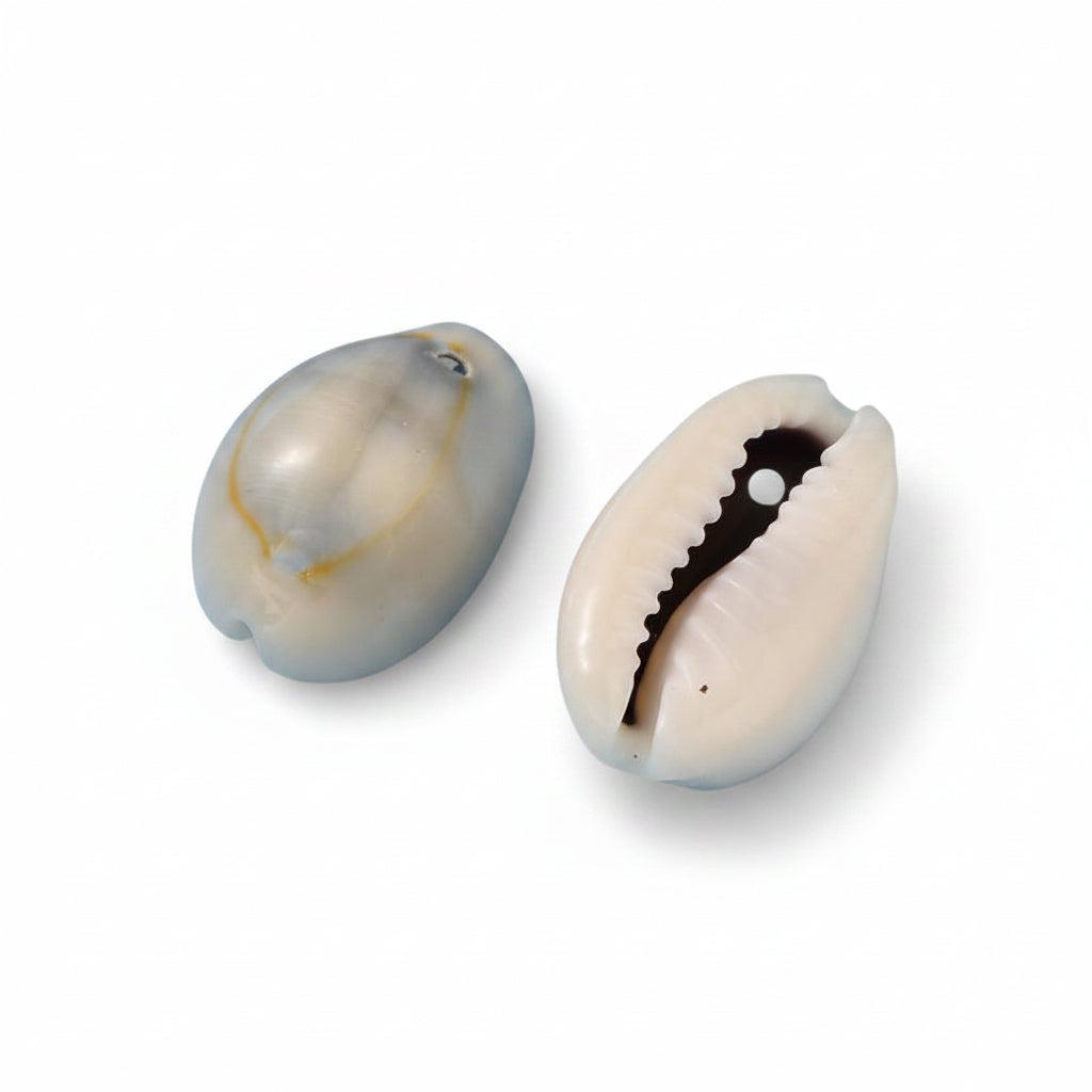 Schelp Kralen Kauri Beige Grijs 17mm - 10 stuks-Kralen-Kraaltjes van Renate