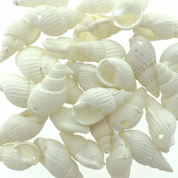 Trompet schelp hanger Naturel ±20x10mm - 10 stuks-Kraaltjes van Renate